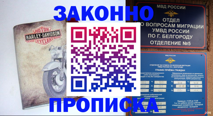 прописка для школы в Завитинске